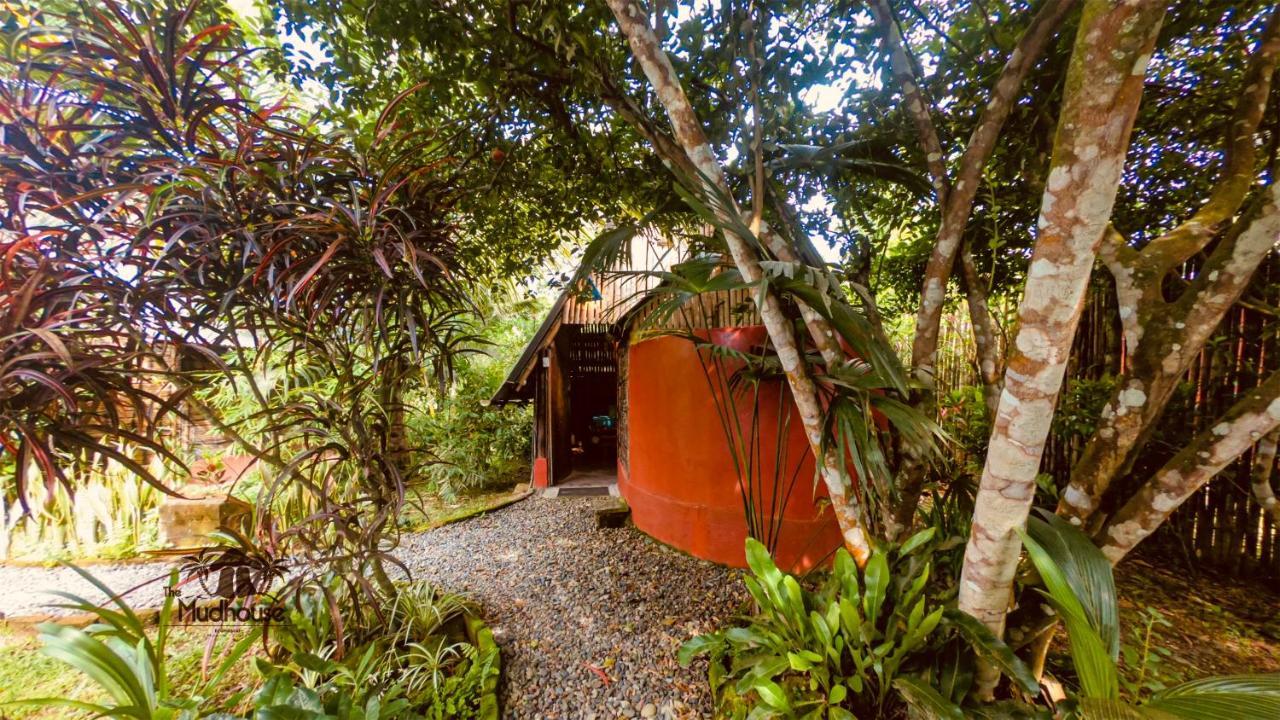 The Mudhouse Hostel Момпиче Екстериор снимка