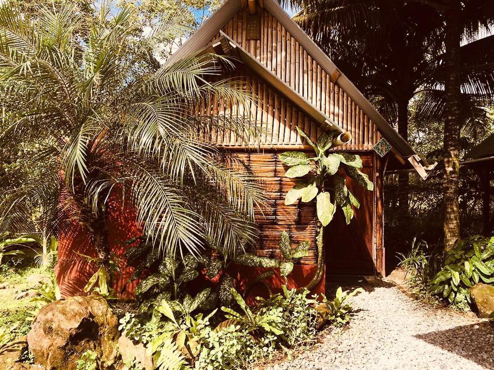 The Mudhouse Hostel Момпиче Екстериор снимка